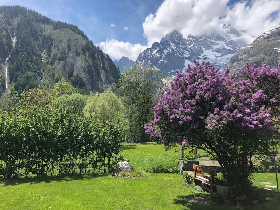 Appartamenti Vista Monte Bianco Courmayeur-Entreves Zewnętrze zdjęcie